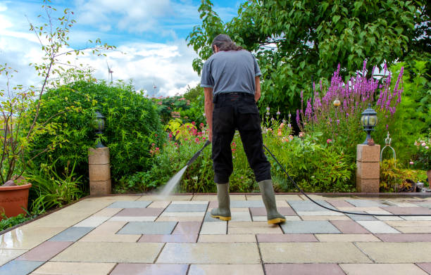 Best Fence Cleaning  in Rio Vista, CA